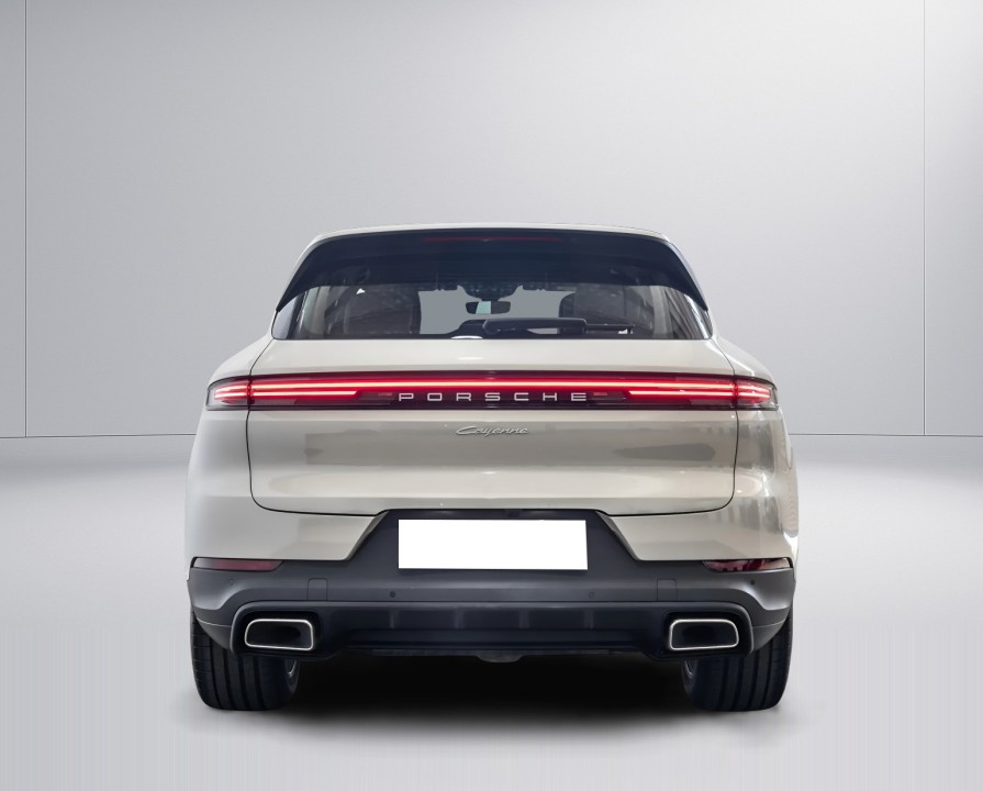 Porsche Cayenne (4)