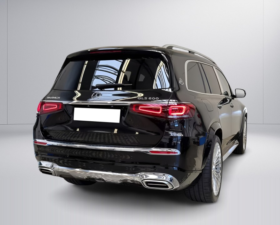Mercedes-Benz GLS Maybach 600 (3)