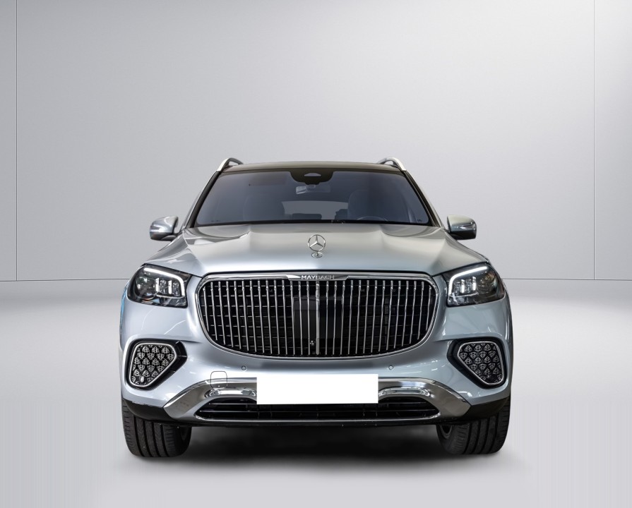 Mercedes-Benz GLS Maybach 600 (2)