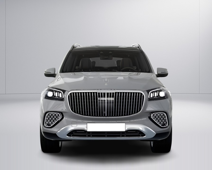 Mercedes-Benz GLS Maybach 600 (2)
