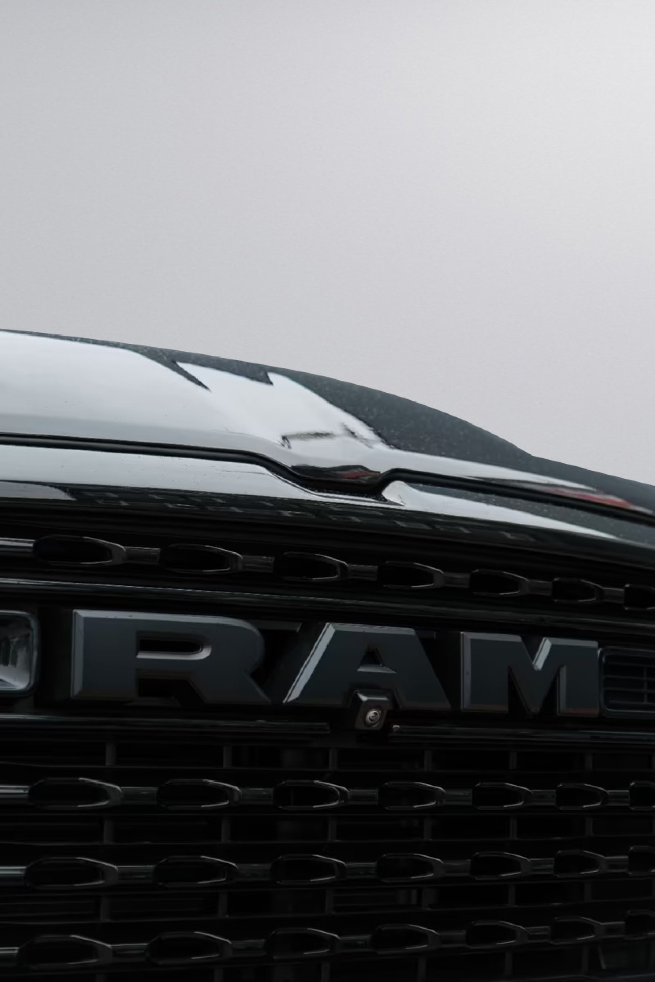 Dodge RAM 1500 Limited - foto 11