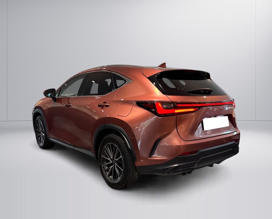 Lexus Seria NX 450h+ AWD Business (5)
