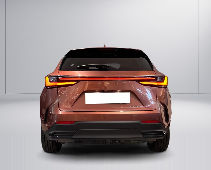 Lexus Seria NX 450h+ AWD Business (4)