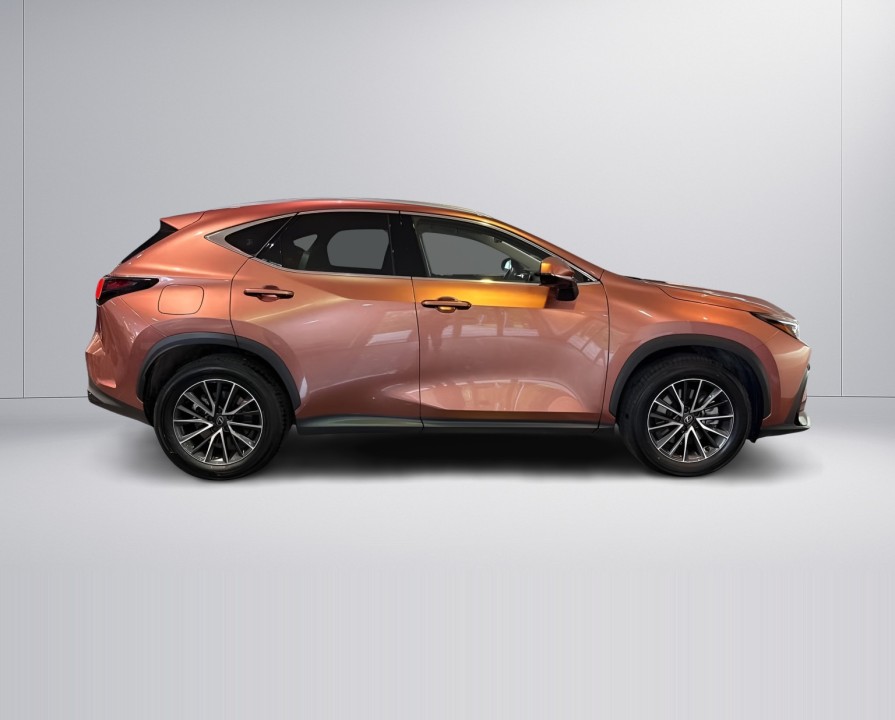 Lexus Seria NX 450h+ AWD Business (2)