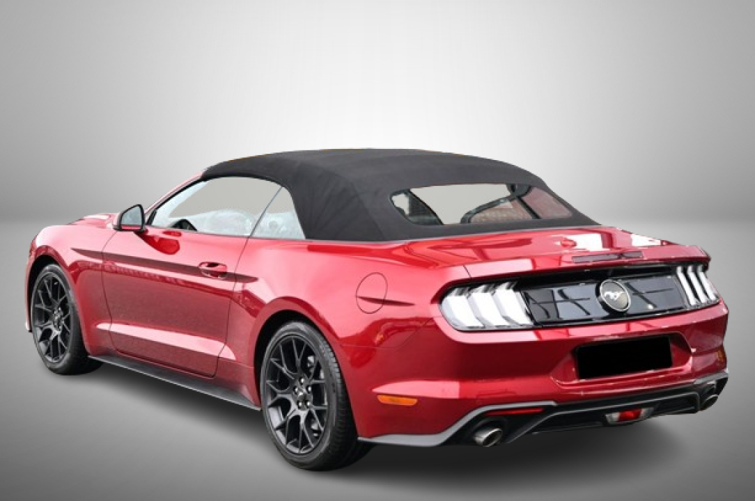 Ford Mustang Cabrio 2.3 EcoBoost (4)