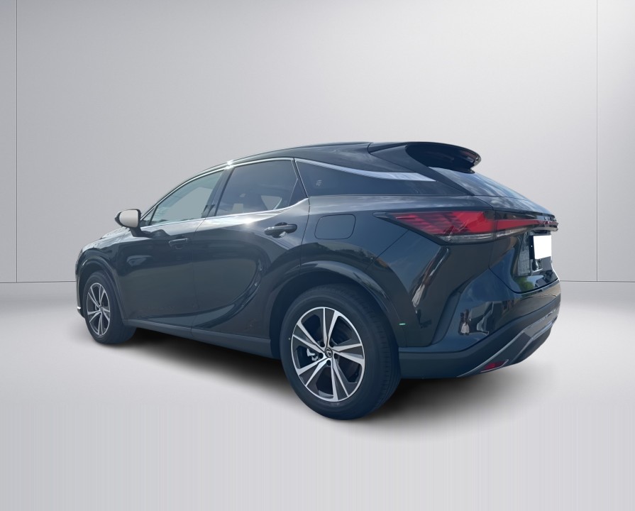 Lexus Seria RX 350h AWD Business Line (4)