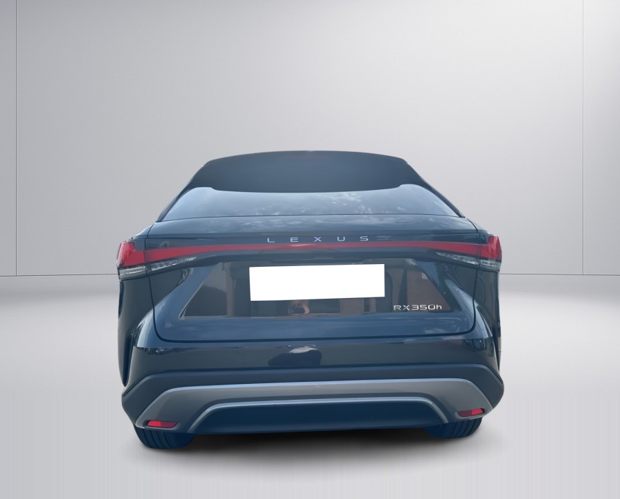 Lexus Seria RX 350h AWD Business Line (3)