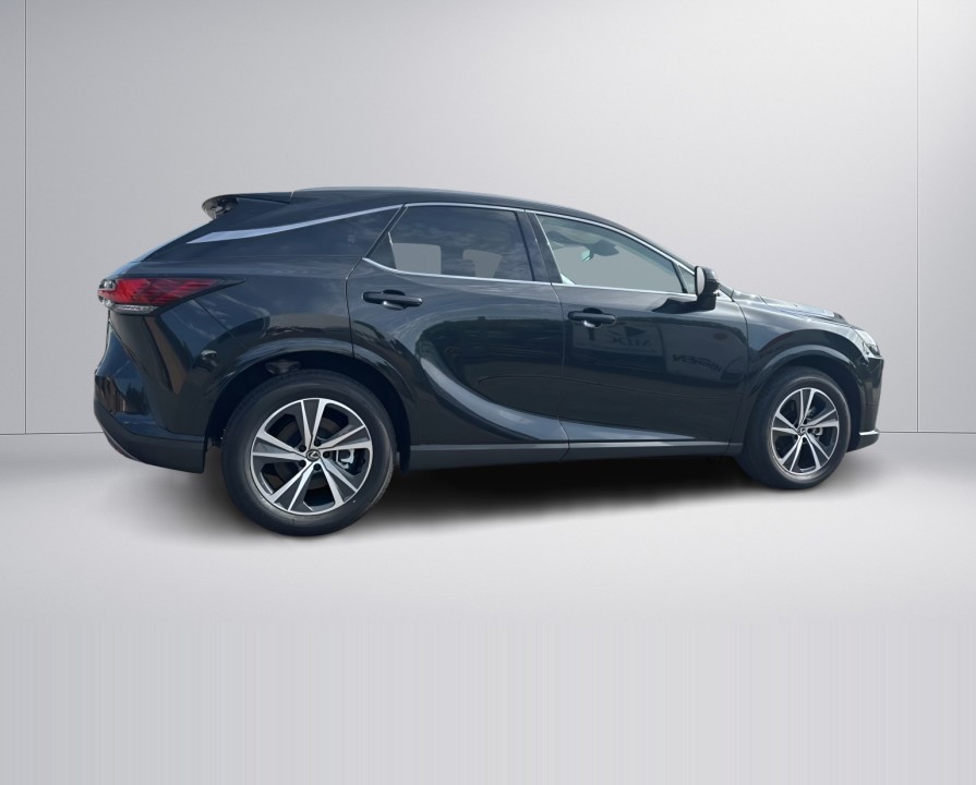 Lexus Seria RX 350h AWD Business Line (2)