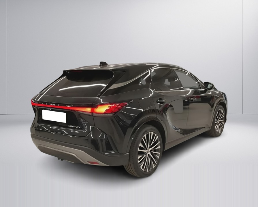 Lexus Seria RX 450h+ AWD Executive (3)
