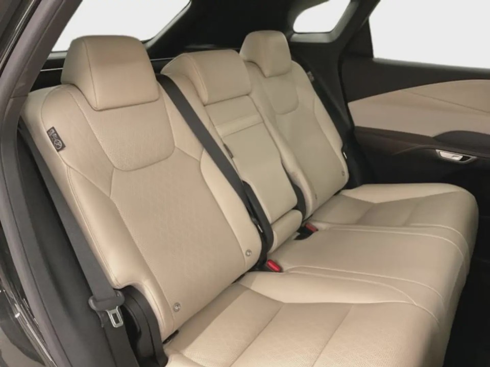 Lexus Seria RX 450h+ AWD Executive - foto 10