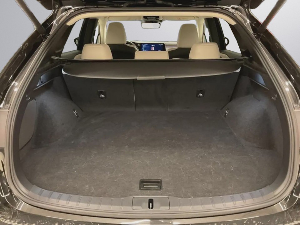 Lexus Seria RX 450h+ AWD Executive - foto 23