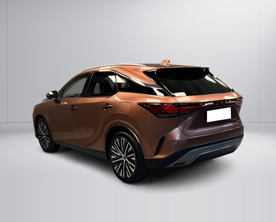 Lexus Seria RX 450h+ Executive (5)