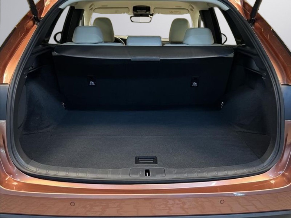 Lexus Seria RX 450h+ Executive - foto 17