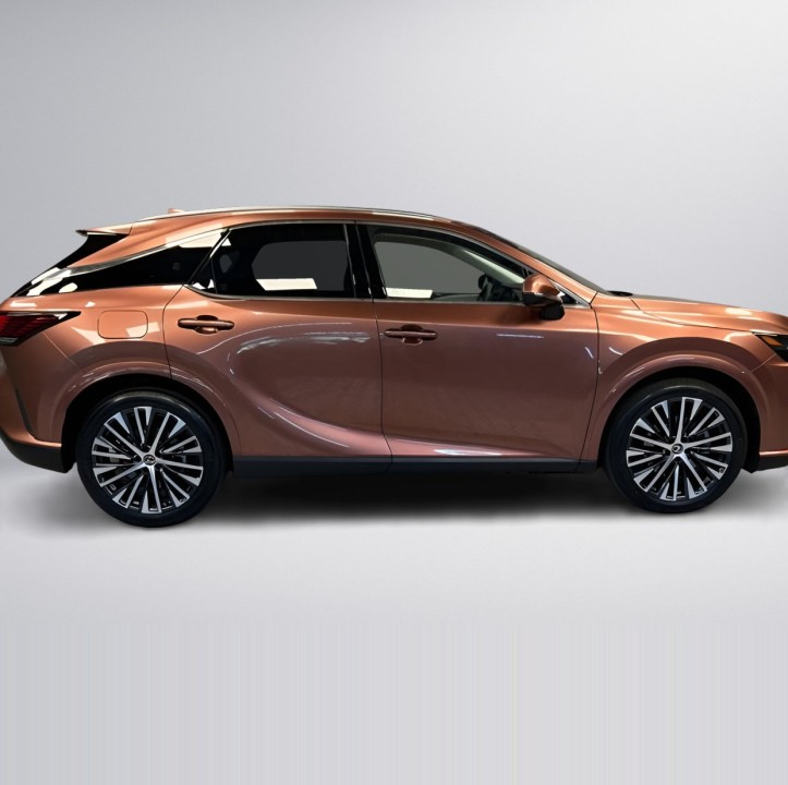 Lexus Seria RX 450h+ Executive (2)