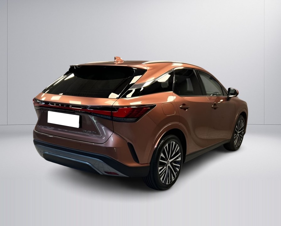 Lexus Seria RX 450h+ Executive (3)