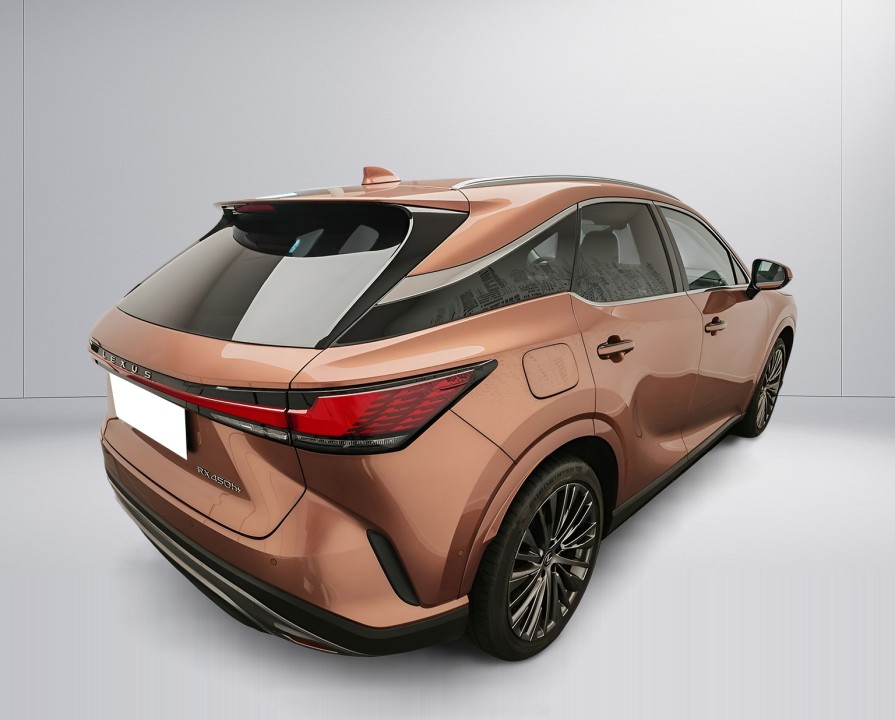 Lexus Seria RX 450h+ AWD Luxury Line (2)