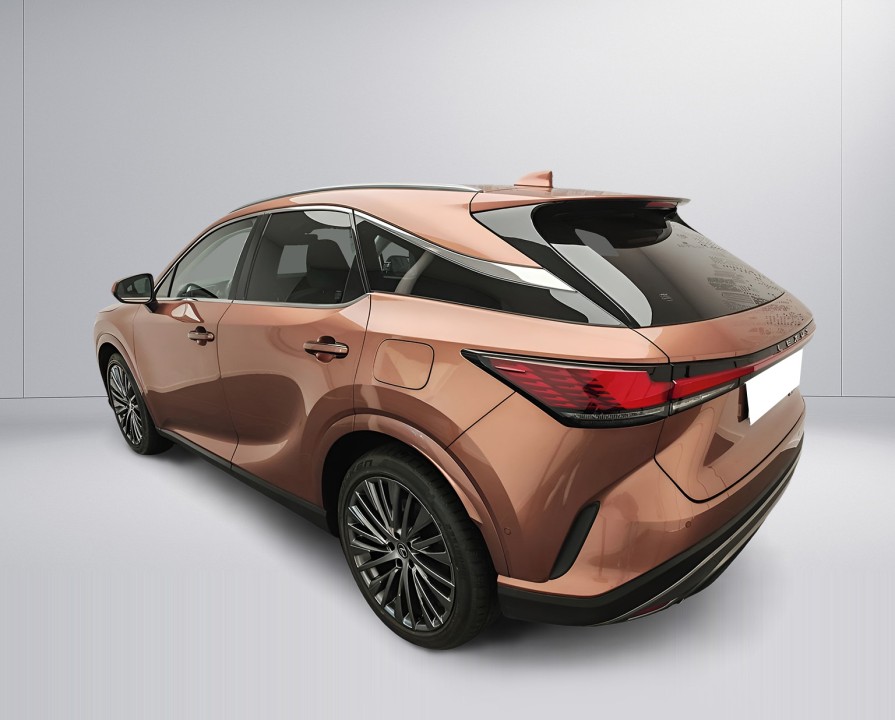 Lexus Seria RX 450h+ AWD Luxury Line (4)