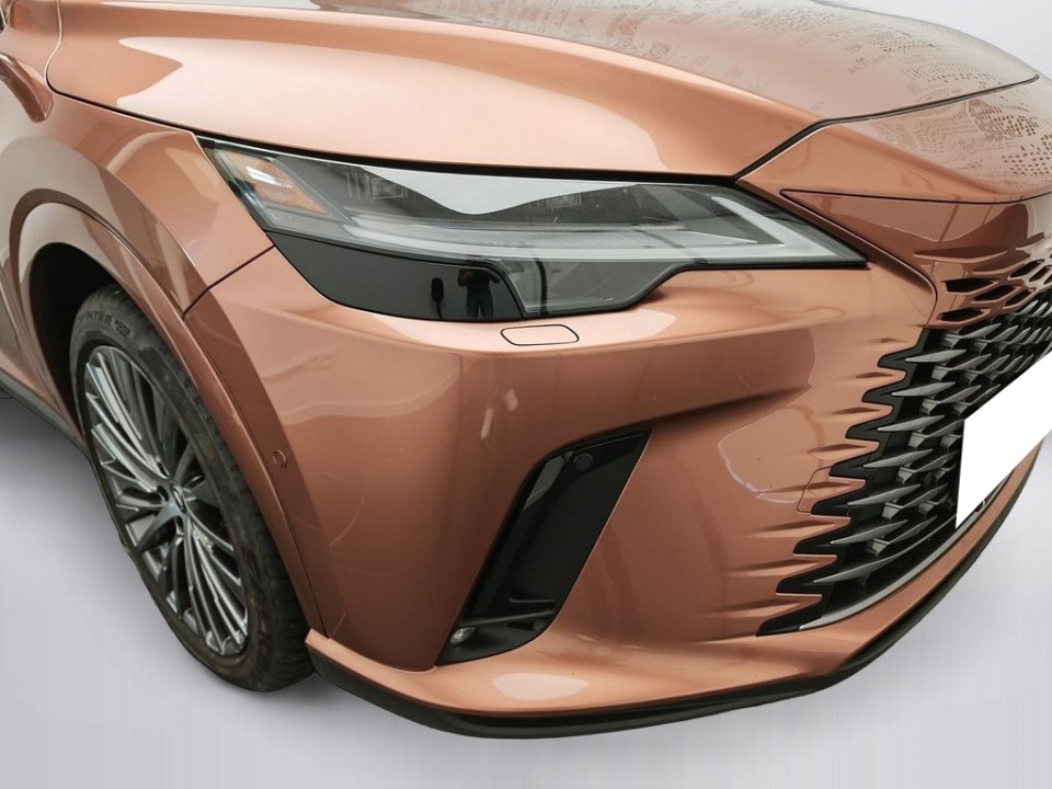 Lexus Seria RX 450h+ AWD Luxury Line - foto 48