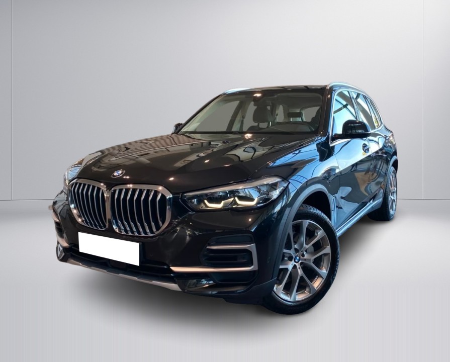 BMW X5 xDrive25d xLine (5)