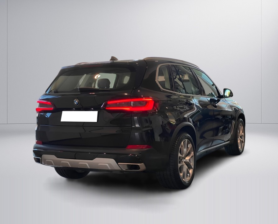 BMW X5 xDrive25d xLine (2)