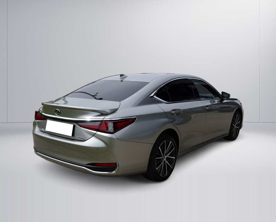 Lexus Seria ES 300h (2)
