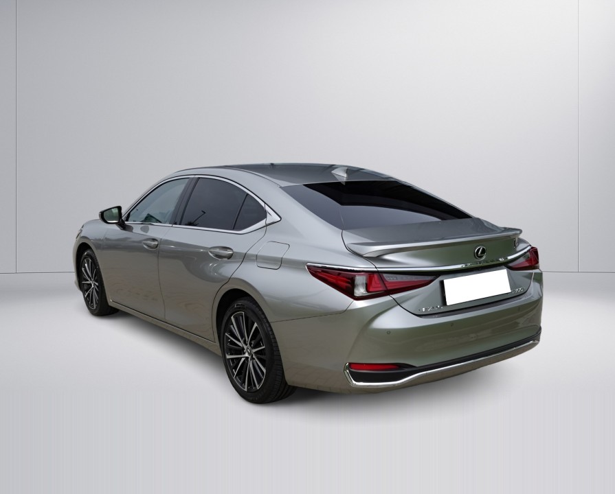 Lexus Seria ES 300h (4)