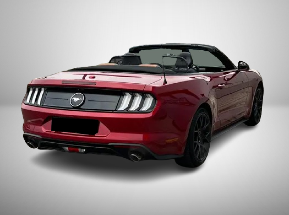 Ford Mustang 2.3 EcoBoost Cabrio (5)