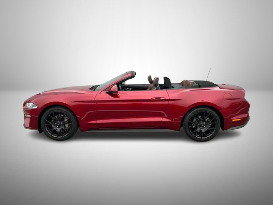 Ford Mustang 2.3 EcoBoost Cabrio - foto 8