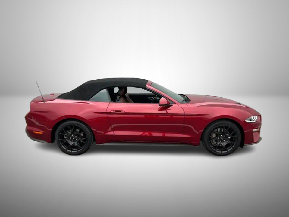 Ford Mustang 2.3 EcoBoost Cabrio (4)