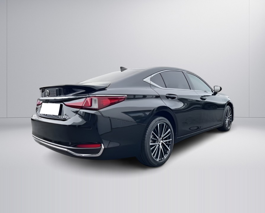 Lexus Seria ES 300h Business Line (3)