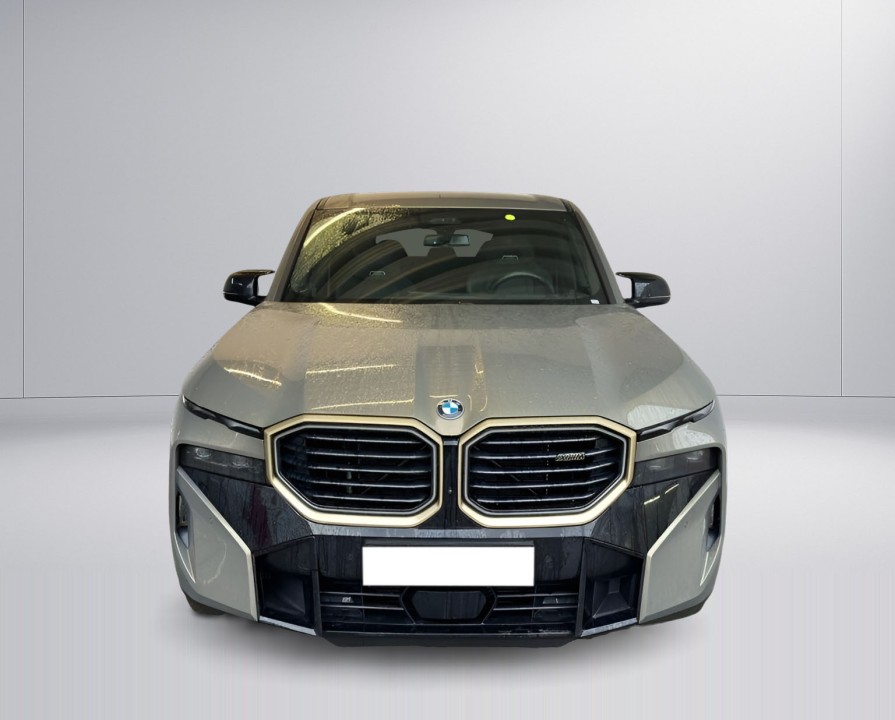 BMW XM (2)