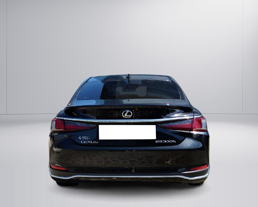 Lexus Seria ES 300h Luxury (4)