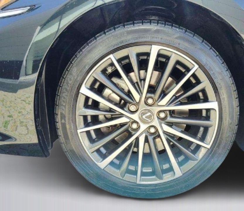 Lexus Seria ES 300h Luxury - foto 18