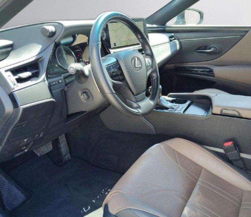 Lexus Seria ES 300h Luxury - foto 9