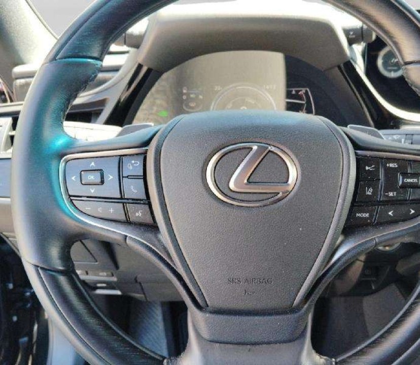Lexus Seria ES 300h Luxury - foto 13