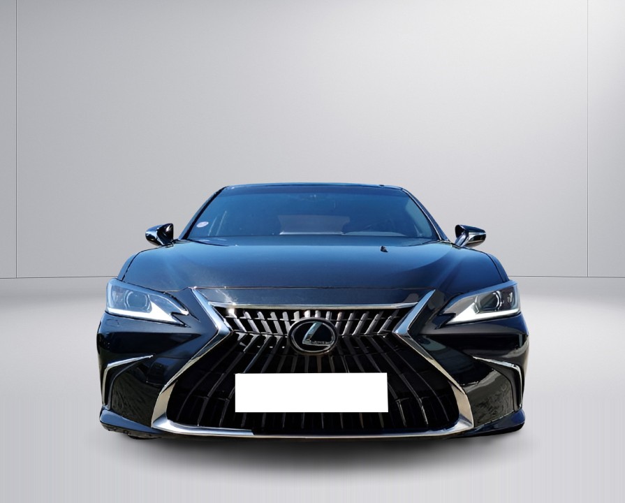 Lexus Seria ES 300h Luxury - foto 8