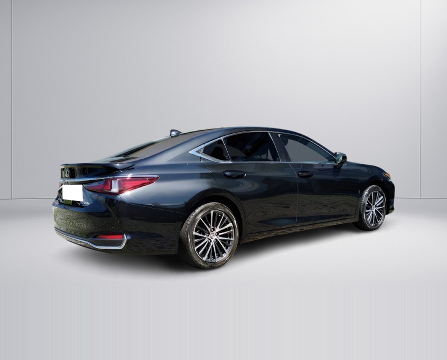 Lexus Seria ES 300h Luxury (3)