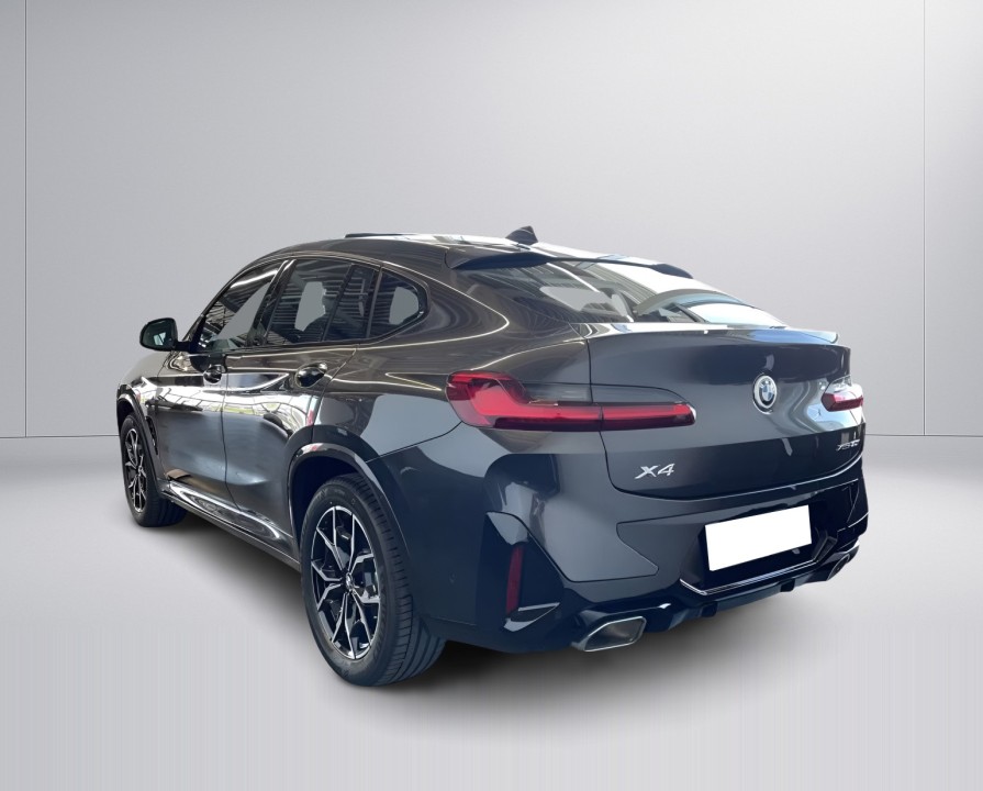 BMW X4 xDrive30i M-Sport (4)