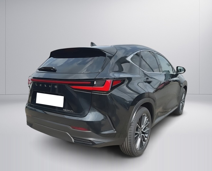 Lexus Seria NX 350h AWD Luxury Line (3)
