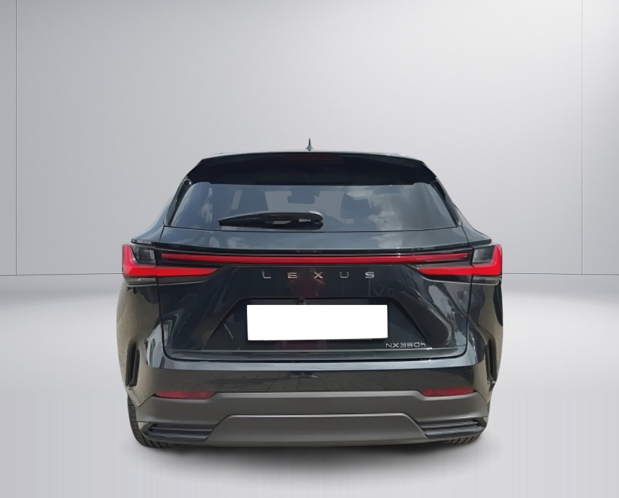 Lexus Seria NX 350h AWD Luxury Line (4)