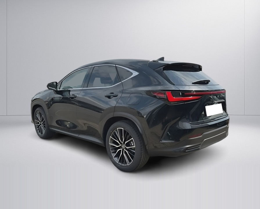 Lexus Seria NX 350h AWD Luxury Line (5)