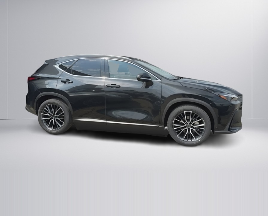 Lexus Seria NX 350h AWD Luxury Line (2)
