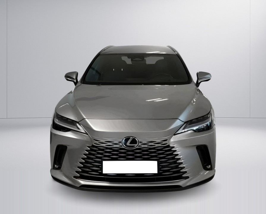 Lexus Seria RX 450h+ (2)