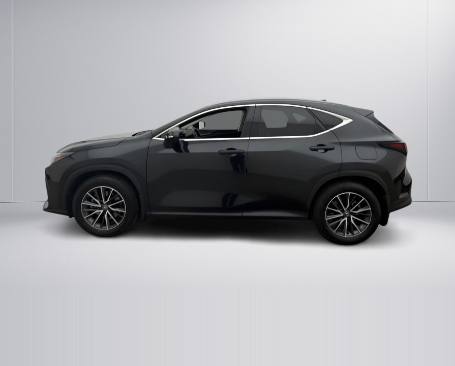 Lexus Seria NX 350h AWD Executive (5)