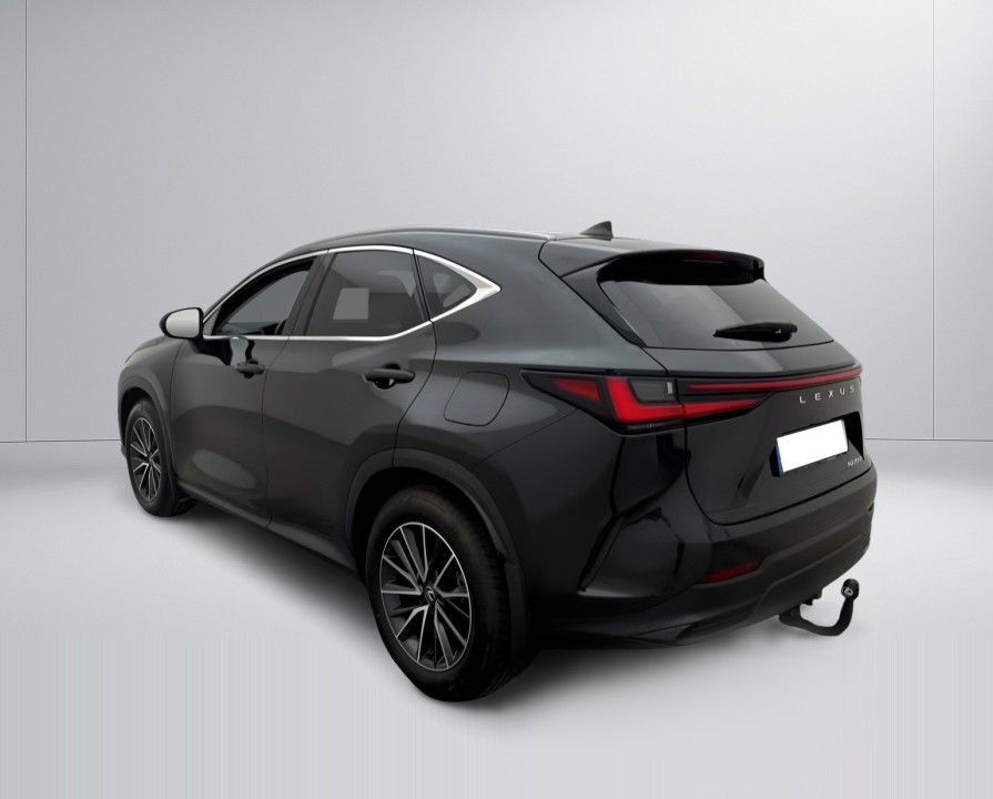Lexus Seria NX 350h AWD Executive (4)