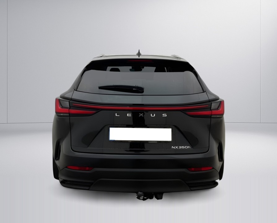 Lexus Seria NX 350h AWD Executive (3)