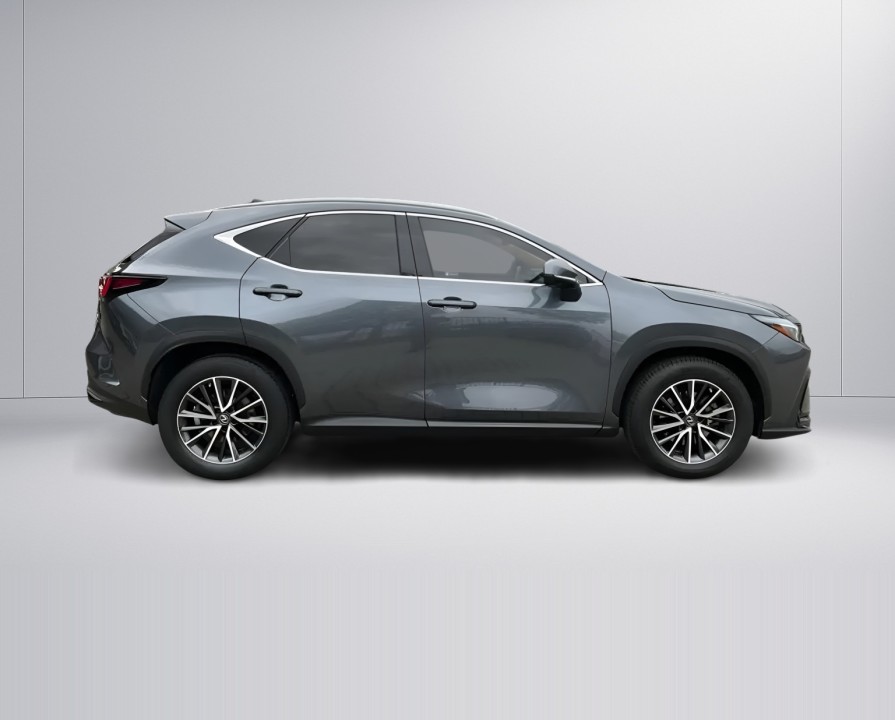 Lexus Seria NX 350h FWD Executive Line (3)