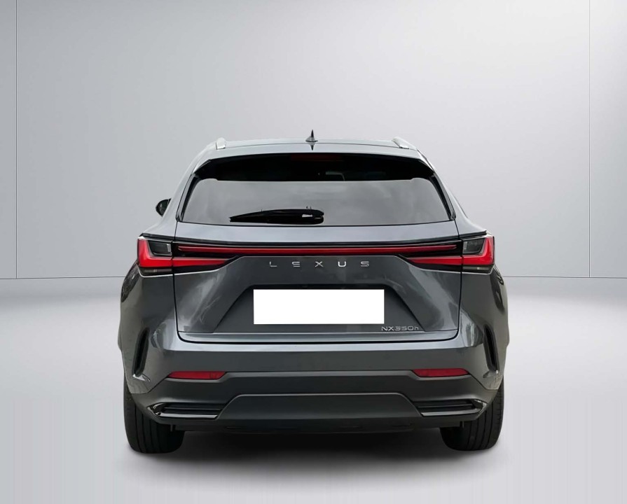 Lexus Seria NX 350h FWD Executive Line (5)