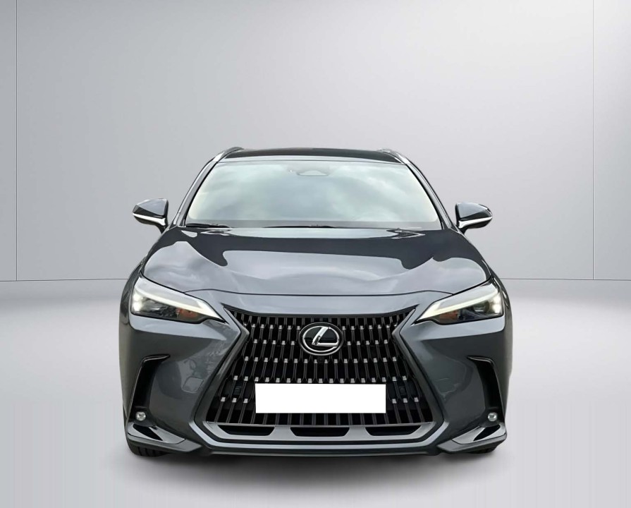 Lexus Seria NX 350h FWD Executive Line (2)
