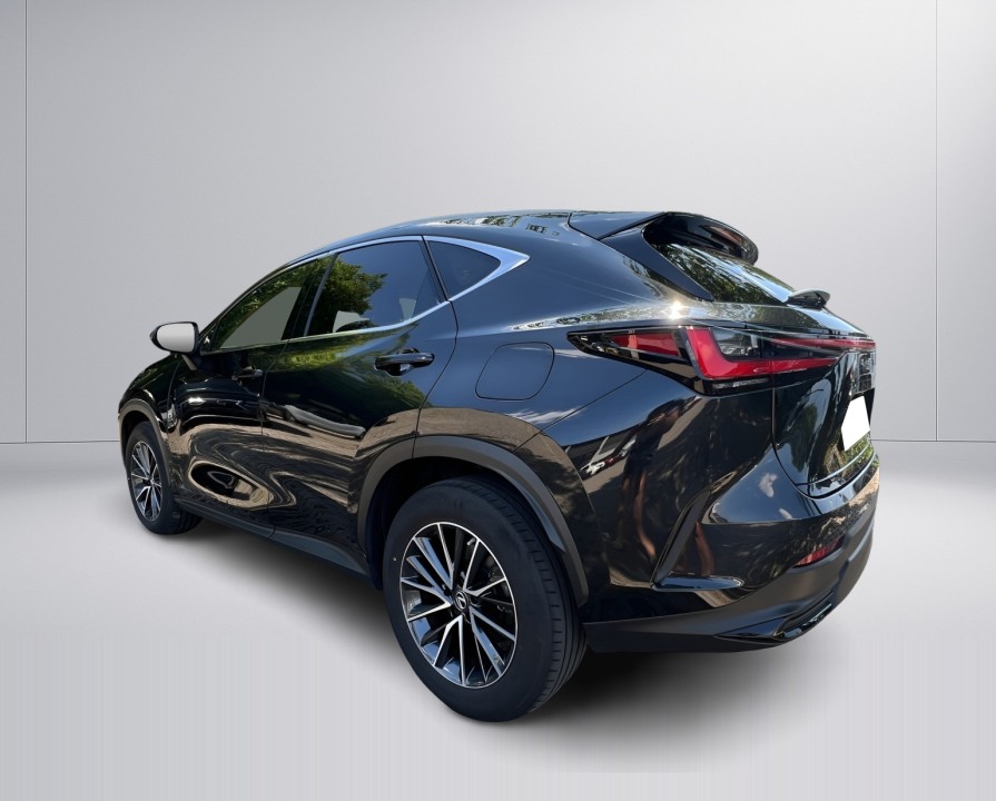 Lexus Seria NX 450h+ (5)